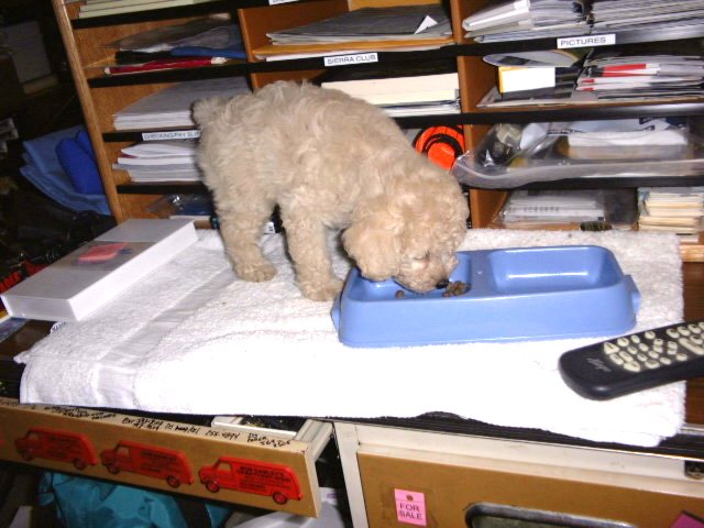 Dinner in the computer room!