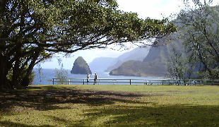 View from the end of the road