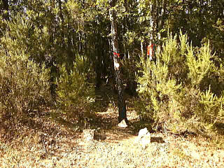 The walking trail to the monument