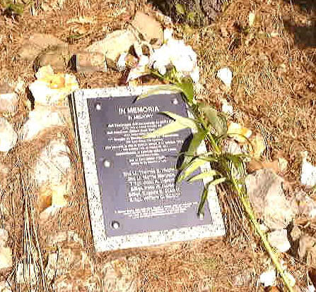 In memory of my father, and the rest of the crew.