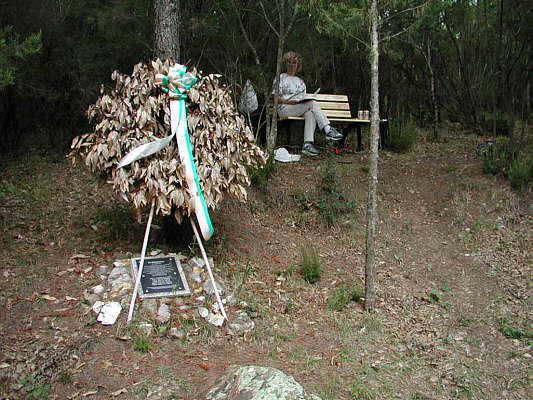 Teddie enjoys quiet time at the crash site while I hunt for fragments