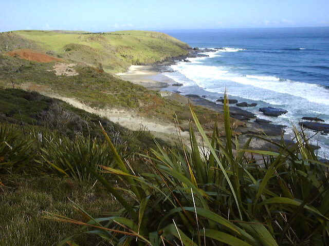 010807152350.jpg (91326 bytes)