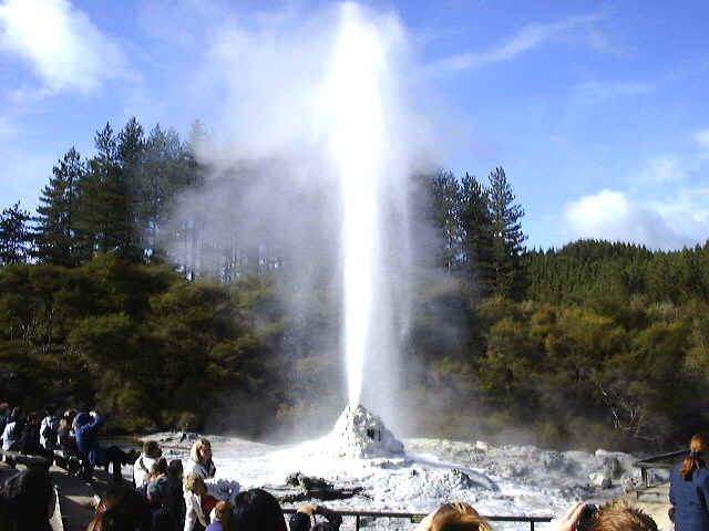 010810122224.jpg (86250 bytes)