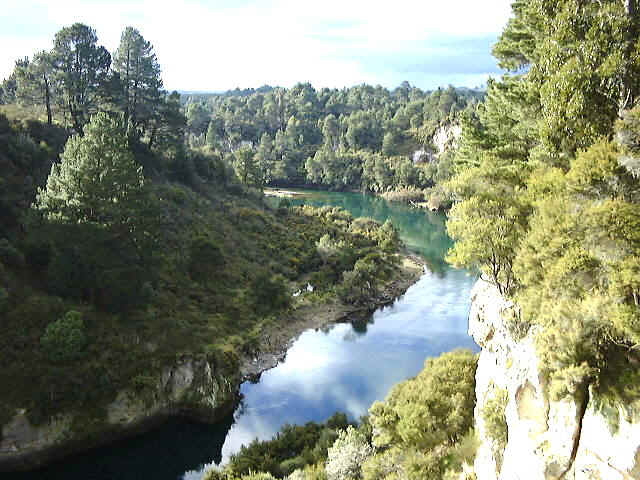 010810171522.jpg (87789 bytes)