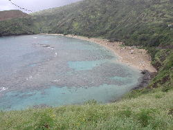 P3200004.JPG